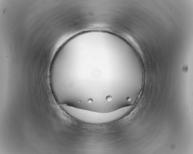 X0000090461336200708102103