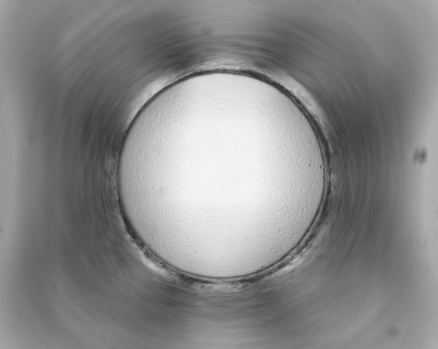 X0000090461337200708102103