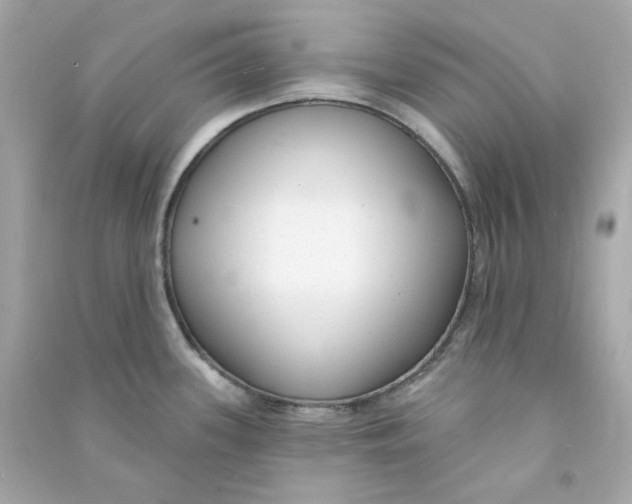 X0000090461339200708102103