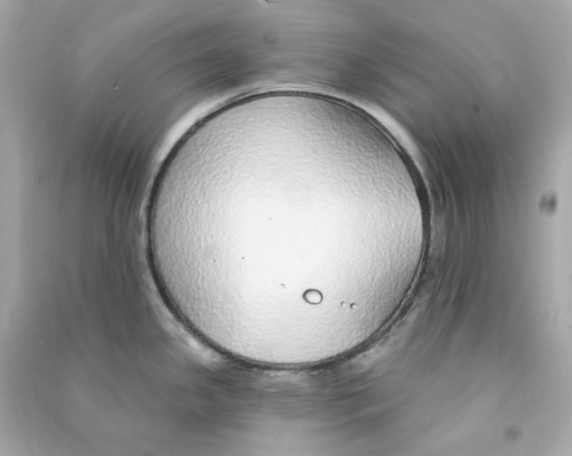 X0000090461341200708102103