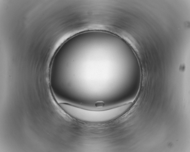 X0000090461342200708102103
