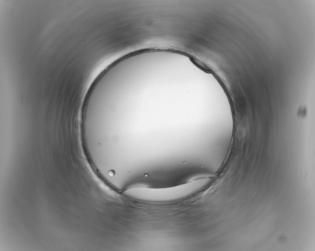 X0000090461343200708102103