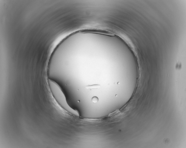 X0000090461344200708102103