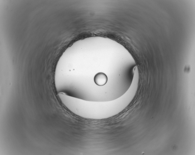 X0000090461345200708102102