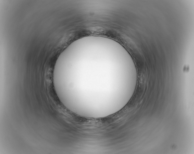 X0000090461346200708102102