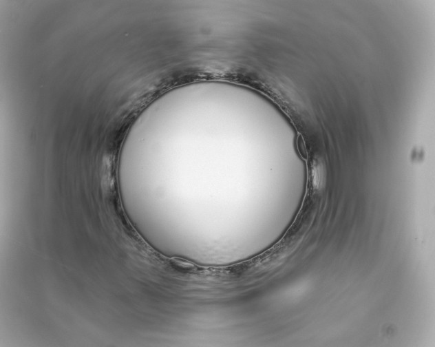 X0000090461347200708102102