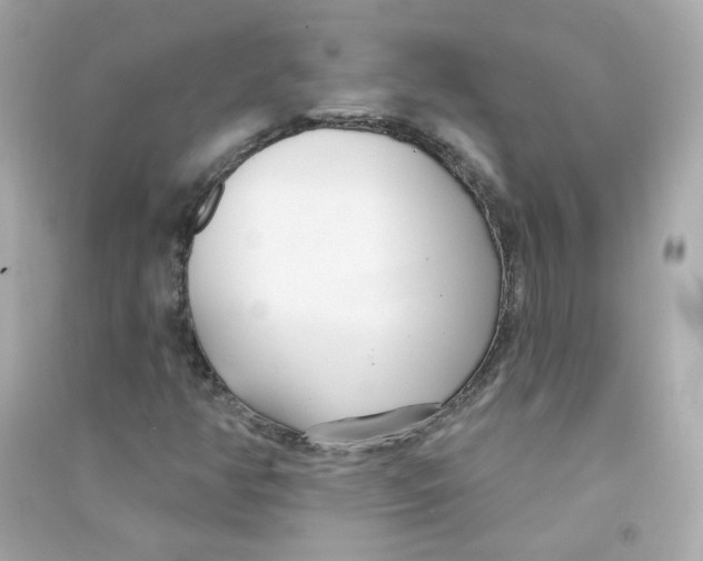 X0000090461350200708102102