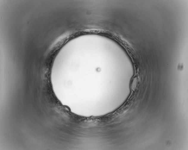 X0000090461351200708102102