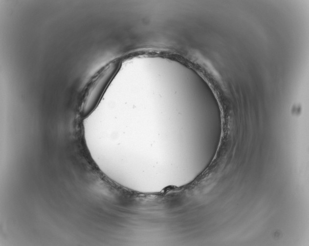 X0000090461352200708102102