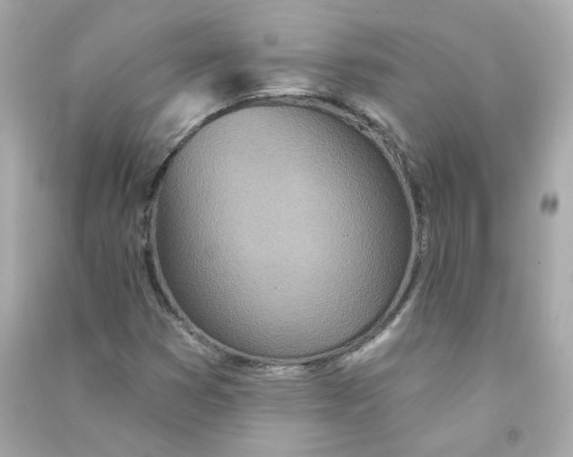 X0000090461353200708102102
