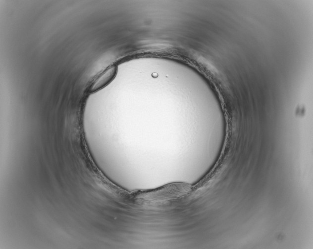 X0000090461354200708102102