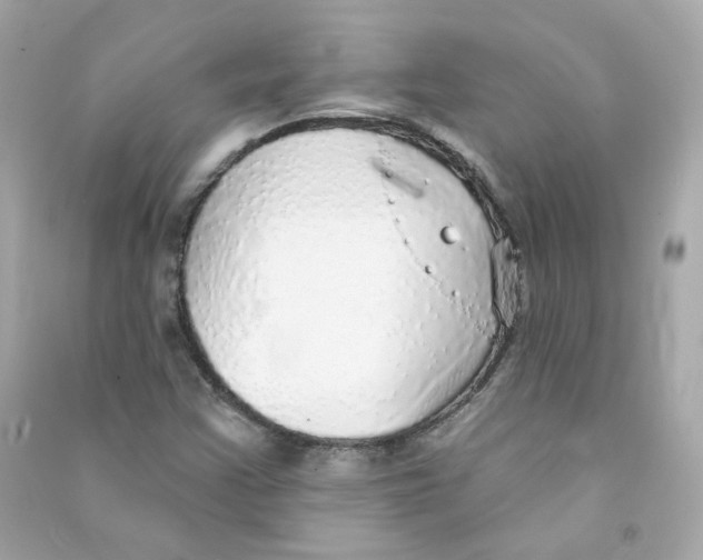 X0000090461355200708102102