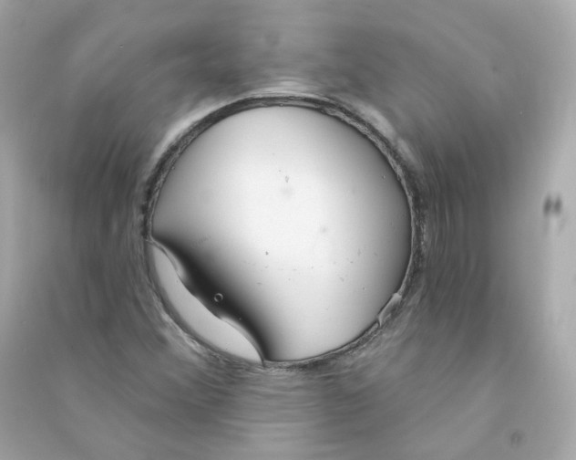 X0000090461356200708102102