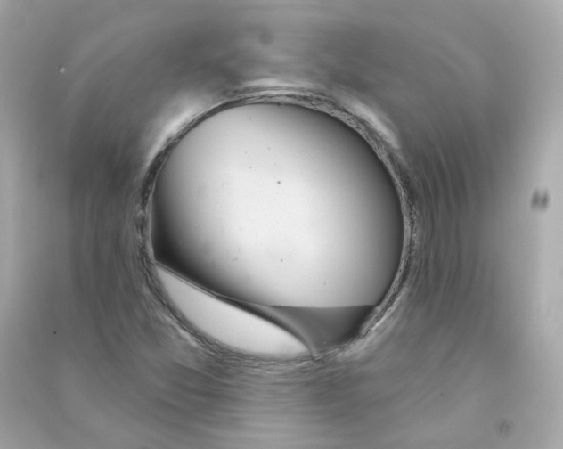 X0000090461357200708102102
