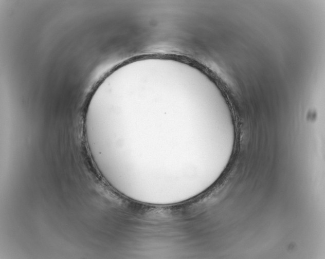 X0000090461358200708102102
