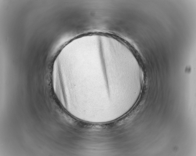 X0000090461359200708102102
