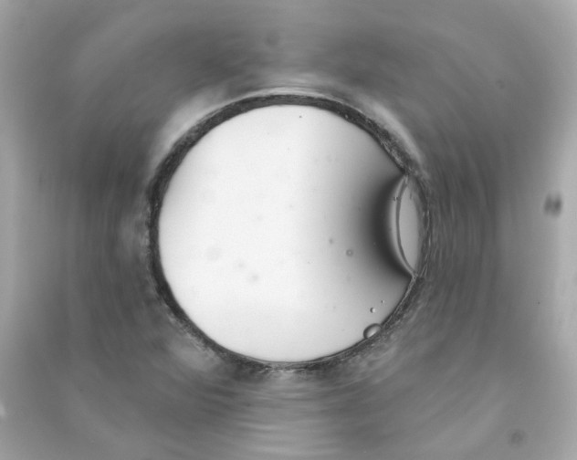 X0000090461360200708102102