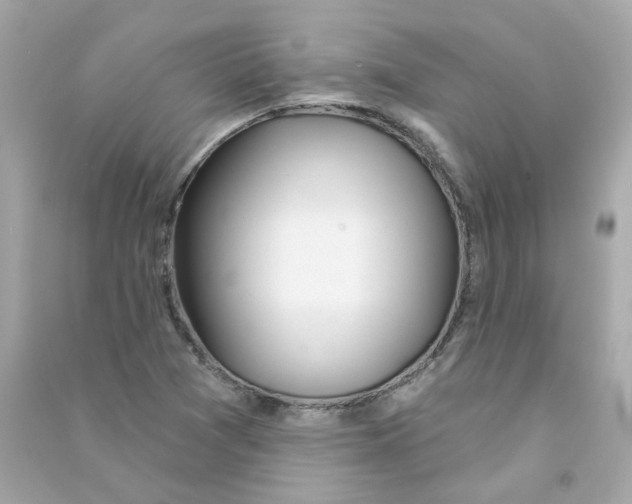 X0000090461361200708102102