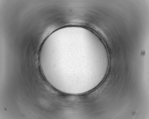 X0000090461362200708102102