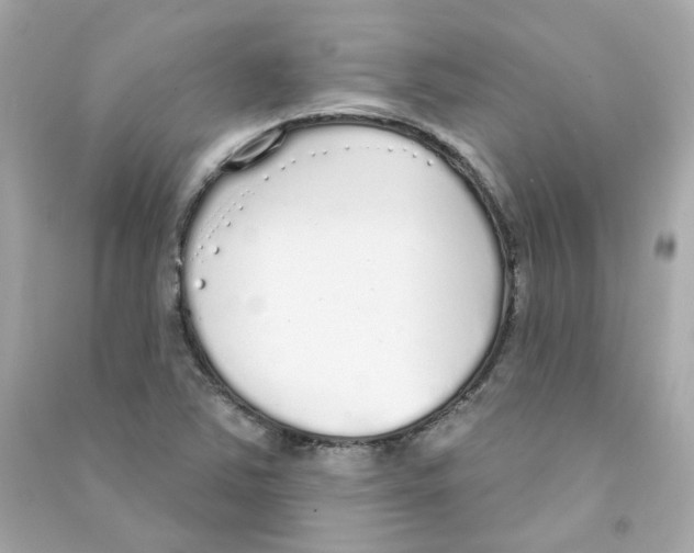 X0000090461363200708102102