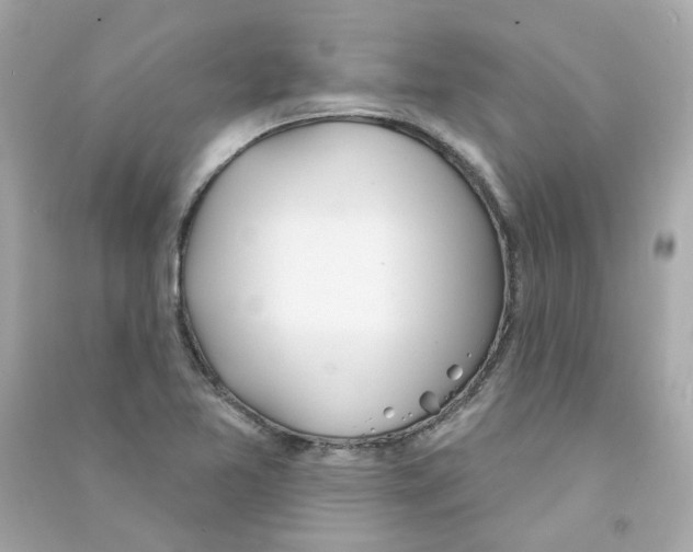 X0000090461365200708102102