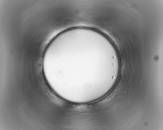 X0000090461367200708102102