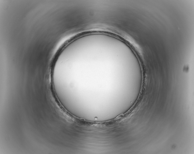 X0000090461368200708102102