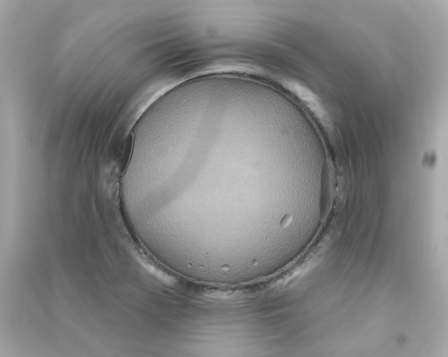 X0000090461369200708102102