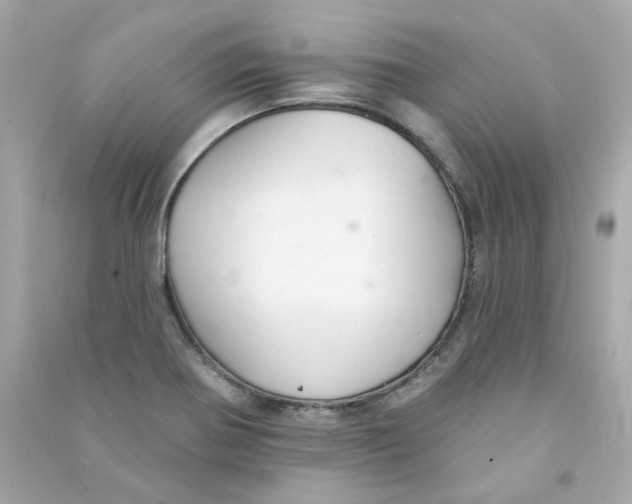 X0000090461370200708102102
