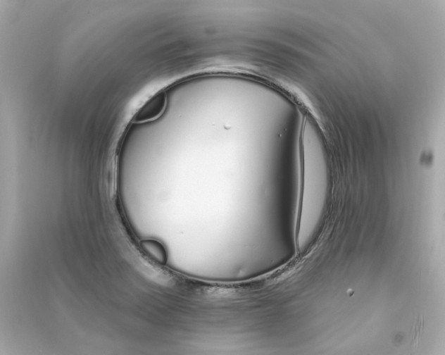 X0000090461371200708102102
