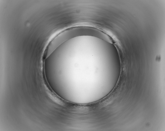 X0000090461372200708102102