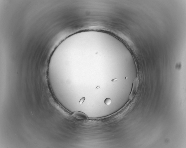 X0000090461374200708102102