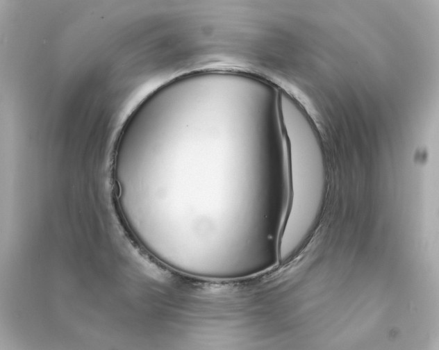 X0000090461375200708102102