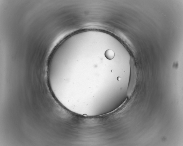 X0000090461376200708102102