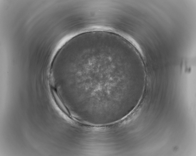 X0000090461381200708102102