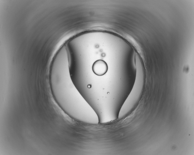 X0000090461384200708102102