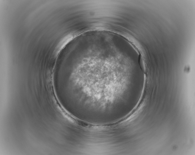X0000090461385200708102102