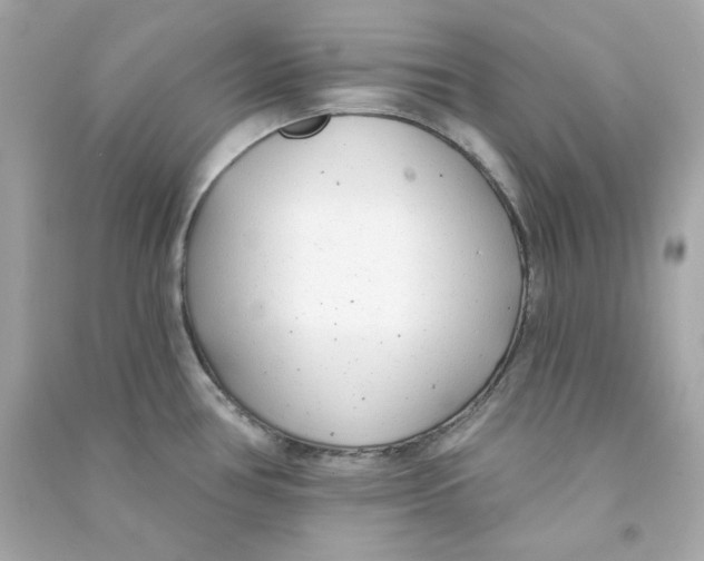 X0000090461386200708102102
