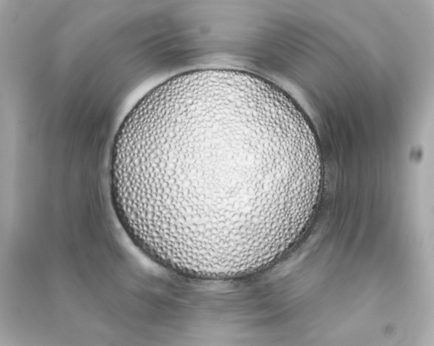 X0000090461387200708102102