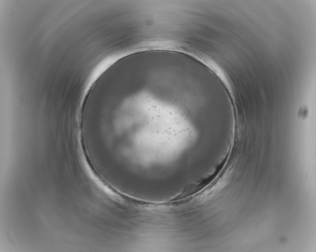 X0000090461389200708102102