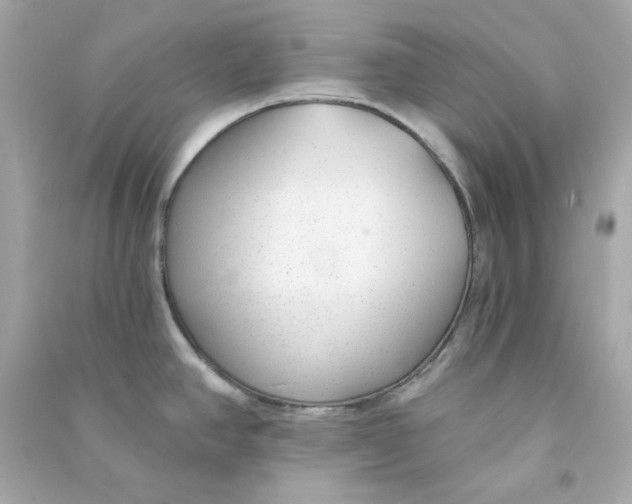 X0000090461390200708102102