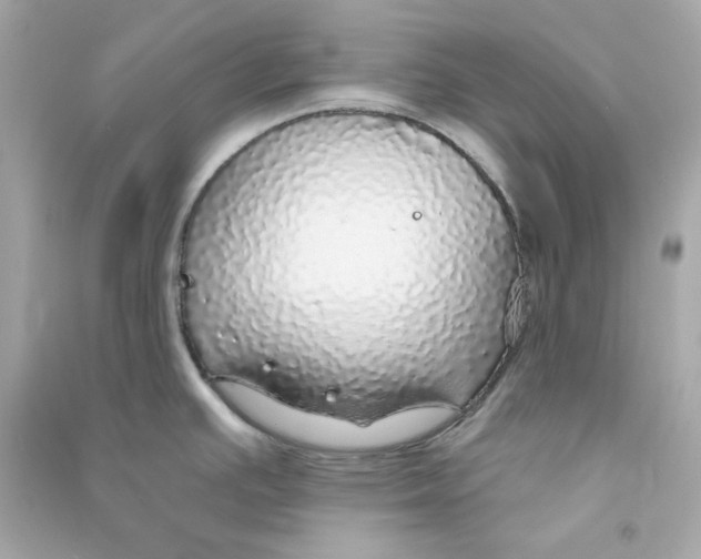 X0000090461391200708102102