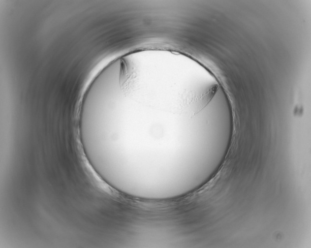 X0000090461392200708102102