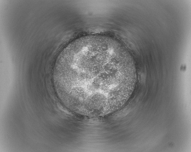 X0000090461393200708102101