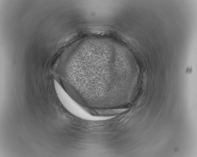 X0000090461394200708102101
