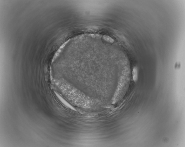 X0000090461395200708102101