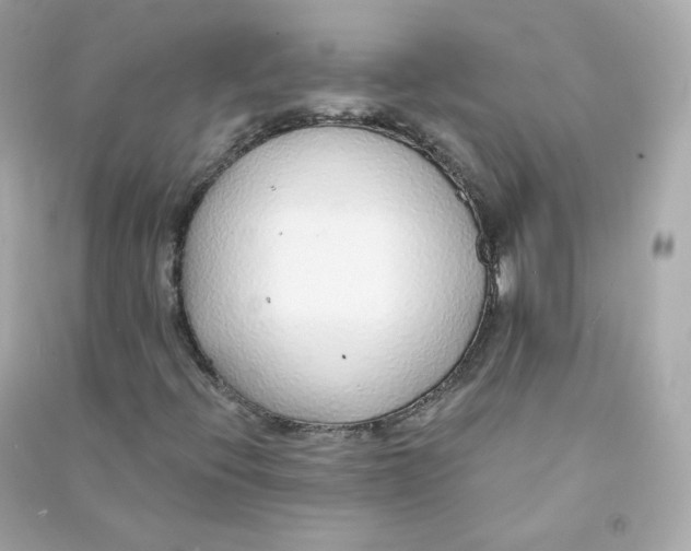 X0000090461396200708102101