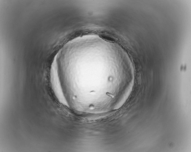 X0000090461397200708102101