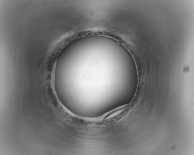 X0000090461398200708102101