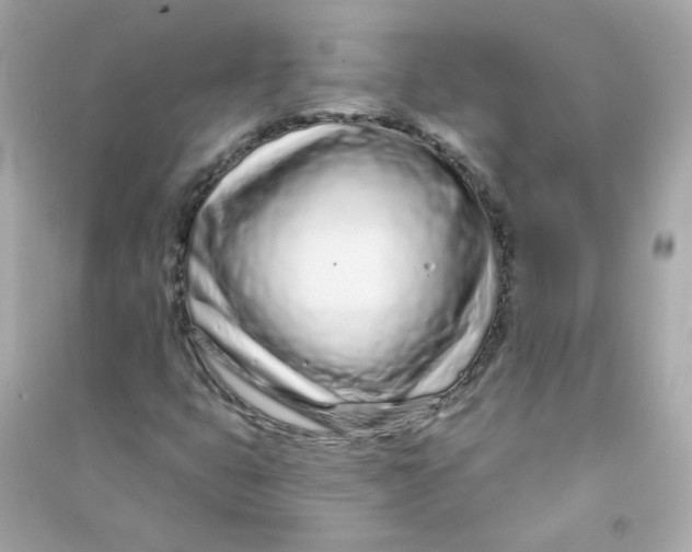 X0000090461399200708102101